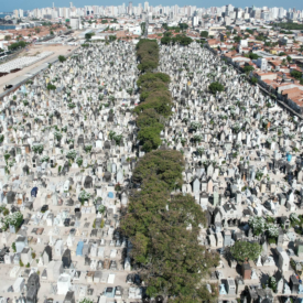 Imagem padrão